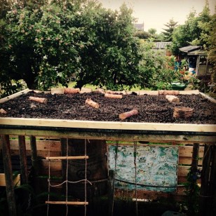 2015-07-20 21.37.43-1