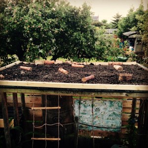 2015-07-20 21.37.43-1